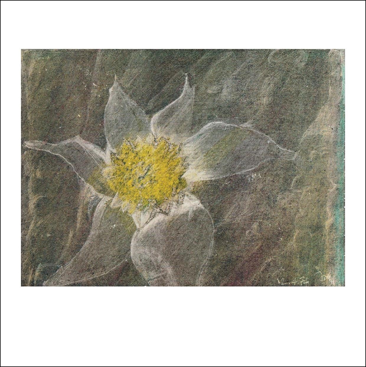 30_Bergblume_Ausstellung 3_Bild 30