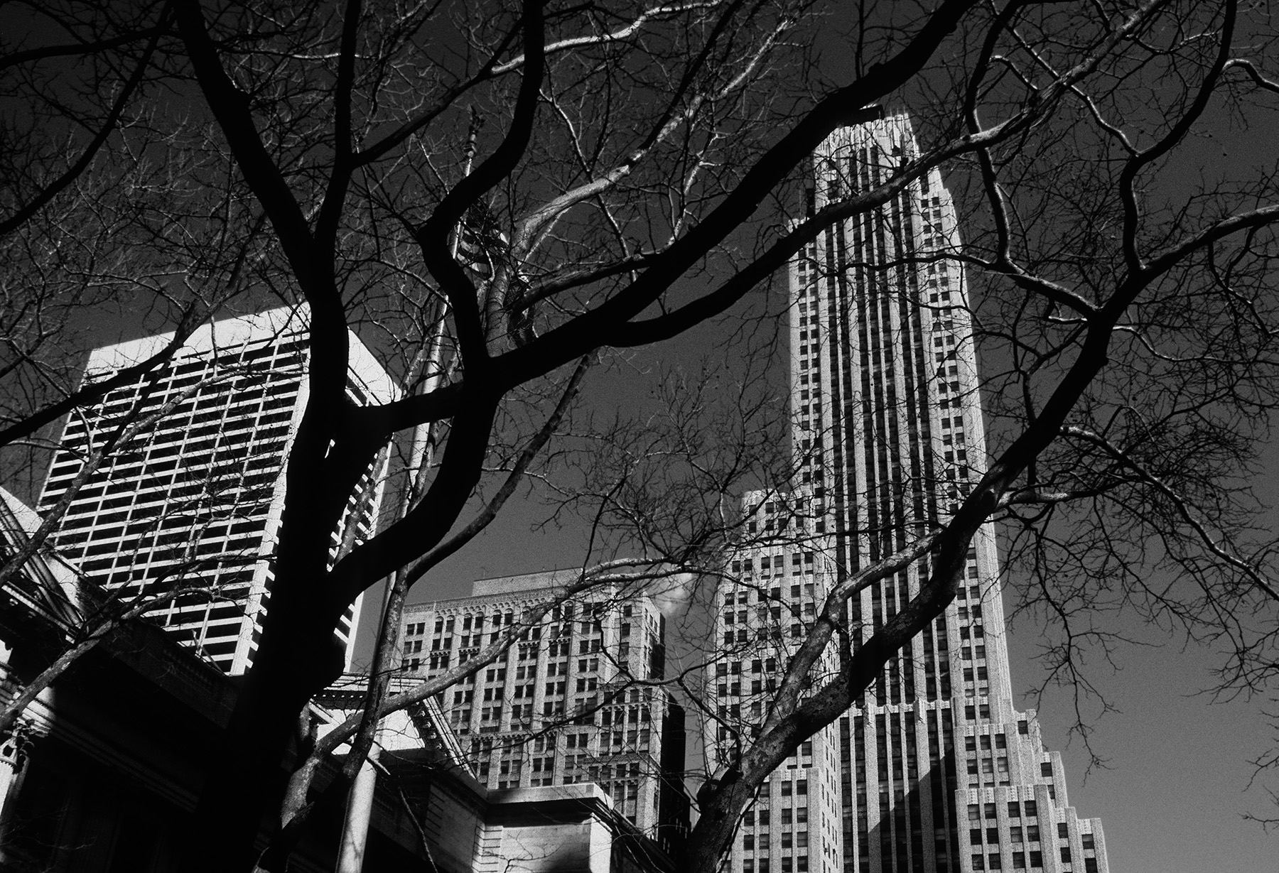 42_88-New York_1_0025_80x54_ArtShop